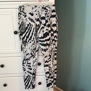 Express leggings